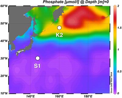 Effective Vertical Transport of Particulate Organic Carbon in the Western North Pacific Subarctic Region
